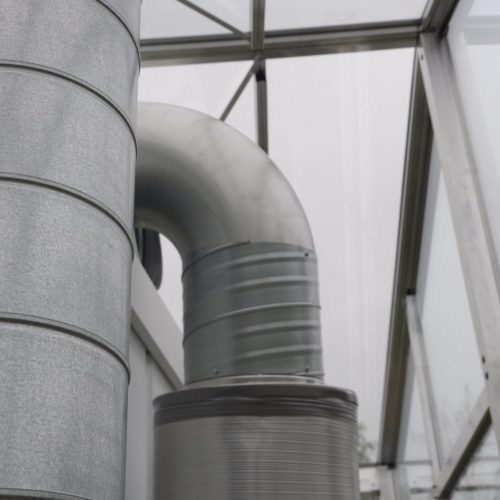 Neighbourhood Demonstrators